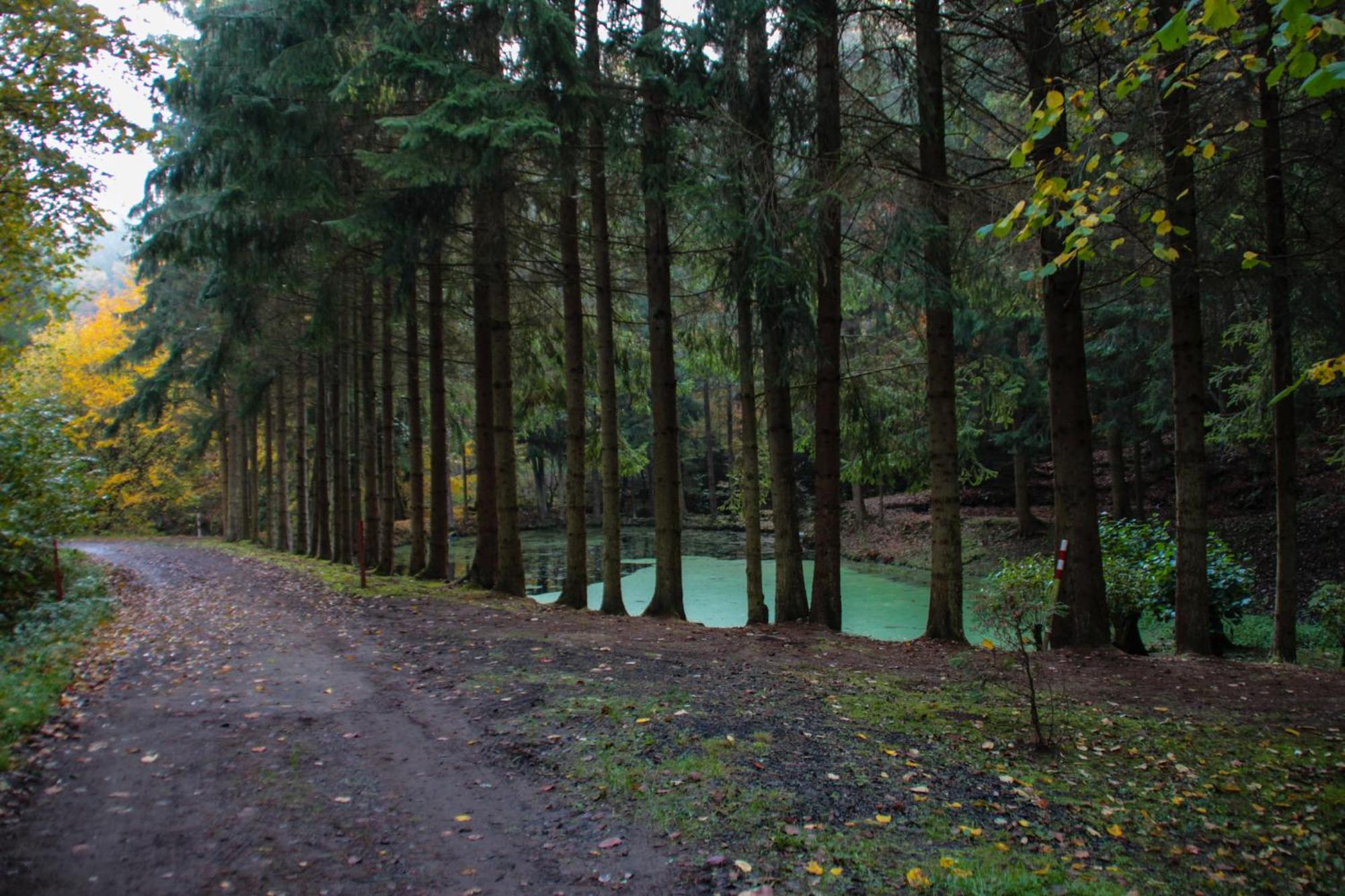 קירכהיים Fh "Baeren Ecke" Am See Im Hessischen Bergland מראה חיצוני תמונה